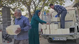Nourbakhsh And Kobraa In Buying Bricks And Family Happiness Grandparents Quarrel 