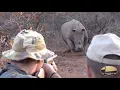 Download Lagu Dangerous Game Hunt in South Africa (Full  Video)  - Sharemyhunt.com