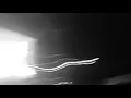 Download Lagu Daniel Avery - Bliss (Official Music Video)