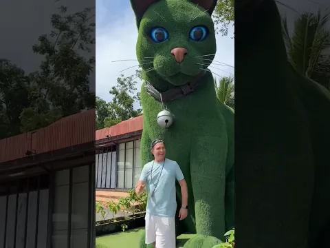 This cat is really alive!😺❤️🥰#funny#cats#catvideos#tiktok#social#usafunny#catlovers#funpage