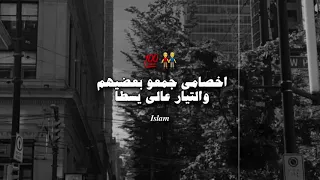 ١٩ مايو ٢٠٢٦ دندنها