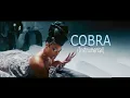 Megan Thee Stallion - Cobra (instrumental) *Best Version*