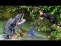 Download Lagu Dwarf Family Catches Giant Fish and Grills It Over Charcoal | Dwarf Family Cooking Survival