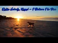 ROBIN SCHULZ & HUGEL - I BELIEVE I'M FINE  [lyrics][audio hq]
