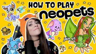 a complete unhinged guide to NEOPETS
