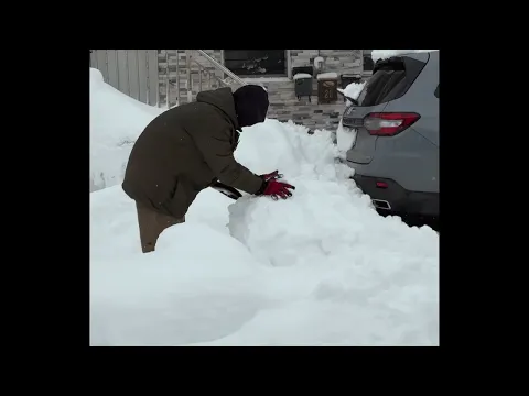 Snowday