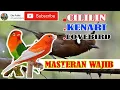 MASTERAN ANDALAN MURAI SUARA CILILIN LOVEDBIRD DAN KENARI JEDA SUARA AIR (Link Mp3 by request)
