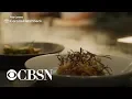 The life of chef Bryan Voltaggio is never boring - Paid Content