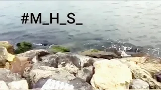 اغنية تركيا جميله مع تصوير على شاطئ بكر كوي في اسطنبول 