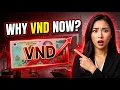 VIETNAMESE DONG ALERT Why Is Everyone Suddenly Watching the VND