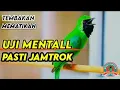 Download Lagu Pancingan Cucak Ijo Gacor Isian \u0026 Tembakan Rapat! Ijo Yang Muda \u0026 Dewasa Langsung Emosi Bisa Jamtrok