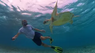 Wish you were here?  |  Ep116