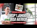 Download Lagu [CI DUNYA] Settingan Cucak Ijo Dunya Om Dodi Kembang Wesi Cucak Ijo Setting Lapar cak ijo HoBi ID MP3