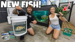 Using BAITS to Catch NEW FISH for My SALTWATER PONDS!!