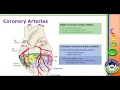 HCGTV Webinar - Body Parts Devices and Qualifiers Oh My ICD-10-PCS Coding for Coronary Bypass