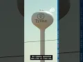 Tyson s U S beef restructuring keeps Amarillo plant signals reinvestment