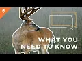 How To Go Hunting In South Dakota