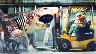 Un Chico se Enfrenta a los Zombis que Aparecieron en su Ciudad  | 🦈ZOM 100 Resumen