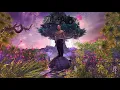 Nasty C - King Shit (Visualizer)