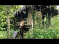 Download Lagu CEO Leaves City for the Woods to Restore Abandoned Old House  Unbelievable Transformation!
