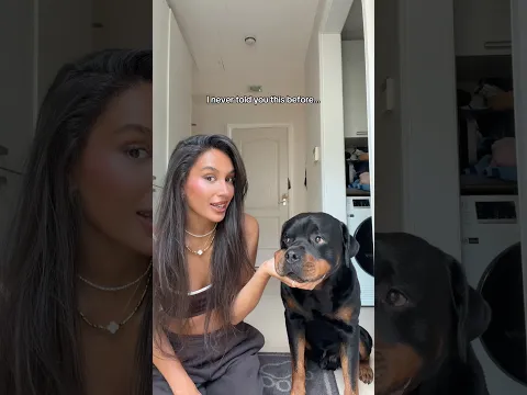 but he still looks SO cute 😭 @nalatheneedyrottie #rottweiler #trend #dog #comedy