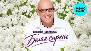 Валерий Палаускас - Белая сирень (Альбом 2026)