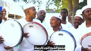 نسام الليل هب بدور له أخوان دندنها