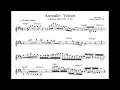 Anomalie - Velours [Opening Solo Transcription]
