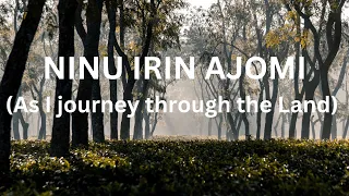 ninu irin ajomi as i journey through the land adebunmi