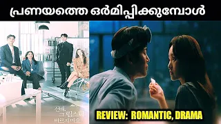 she would never know south korean romantic drama web series review by naseem media malayalam