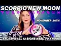 Scorpio New Moon Secrets You NEED to Know for All 12 Signs!
