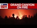 Download Lagu Arizona wildfire destroys historic Grand Canyon Lodge, closes North Rim for the season