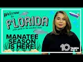 Where to see manatees in Florida and the laws you need to know about