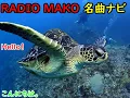 【MISIA】特選『陽のあたる場所』曲の編成と編曲が個性的です。渋く玄人好みの曲だと思います。奥が深い。希望が持てる歌詞ですね『hino ataru basho』邦楽。J-POP。
