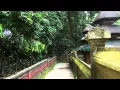 Download Lagu Alas Kedaton Monkey Forest \u0026 Temple