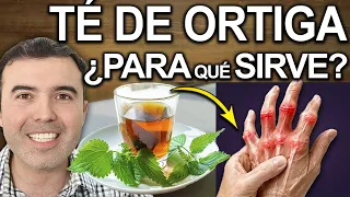 TE DE ORTIGA EN AYUNAS - Para Que Sirve, Beneficios Y Contraindicaciones Para Tu Salud Y Belleza