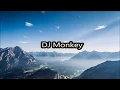 Download Lagu DJ Monkey Dance Music 2017