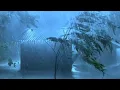Download Lagu Sleep Instantly with Powerful Hurricane, Terrible Rain, Strong Wind, Heavy Thunder at Stormy Night
