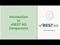 Introduction to vREST NG Components API Automation