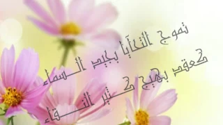 انشودة رباط الاخوة طوق النجاة 