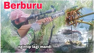 Download NGINTIP LAGI MANDI !! BURUNG TEKUKUR MP3