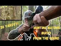 GIANT MOUNTAIN BUCK AT 20 YARDS GROUND HUNTING SCRAPES NORTH GEORGIA BIG BUCK