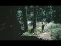 Wolves of Worry - Chance Peña