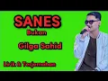 Download Lagu SANES || Gilga Sahid || Lirik \u0026 Terjemahannya