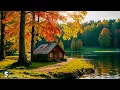Download Lagu Rustgevende herfstmuziek 🍁 Stop met overdenken, stressverlichtende melodieën