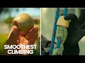 Download Lagu Use This simple DIY Tree Climbing Tool For The SMOOTHEST experience!