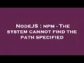 NodeJS npm - The system cannot find the path specified
