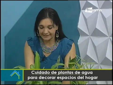 Cuidado de plantas de agua para decorar espacios del hogar