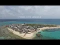 Protecting Jamaica s Fishing Banks Pedro Bank s First Female Warden