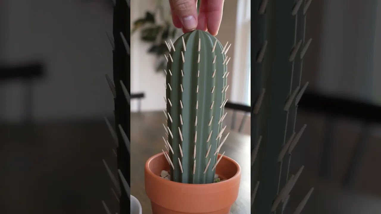 Cactus Toothpick holder video thumbnail